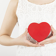 心臓血管外科 心臓血管外科