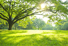 糖尿病の原因 糖尿病の原因